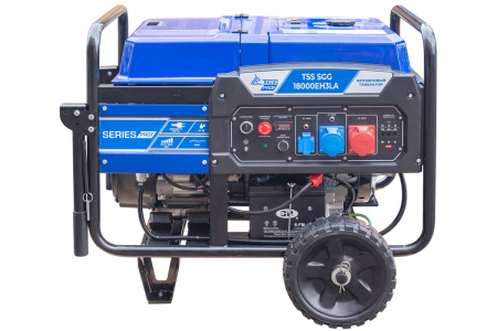 Бензиновый генератор ТСС SGG 18000EH3LA фото
